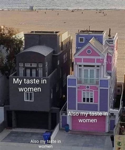 my taste in women meme